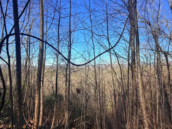 63 Spring Branch Dr, Murphy, NC 28906