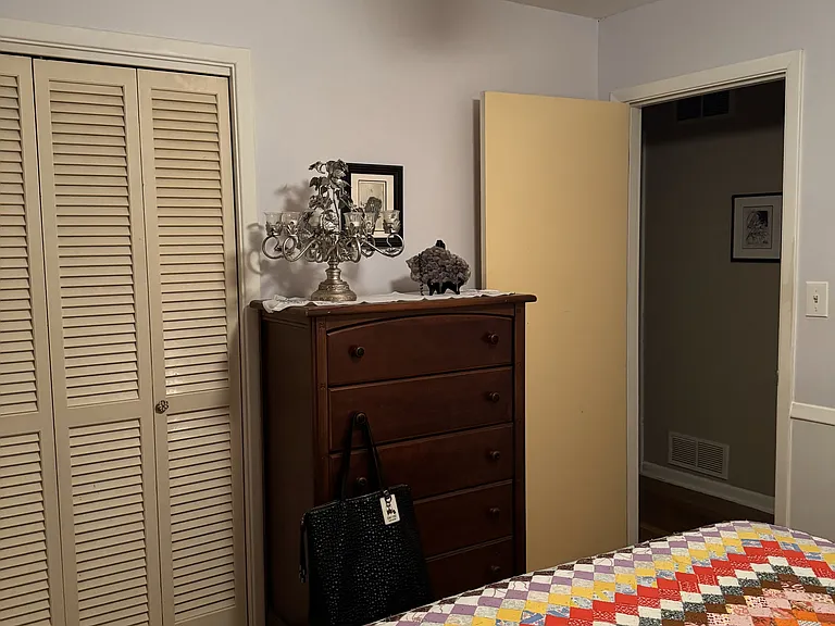 2906 Branchwood Dr — Photo 52