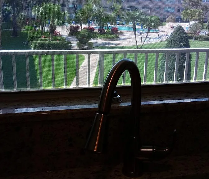 View out kitchen window