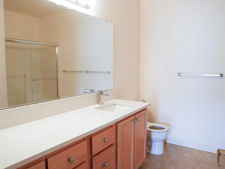 Primary Bathroom with new quartz countertop, sink and faucet. Shower stand with new glass doors.