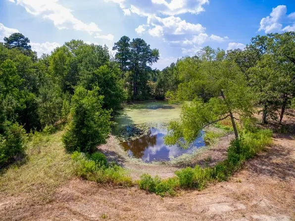 337 An County Rd #1635, Palestine, TX 75801