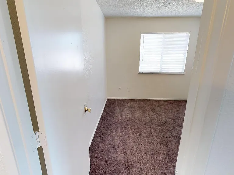 4005 Saguaro Ln — Photo 13