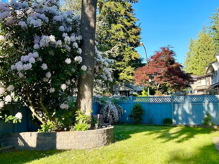11775 Chateau Wynd — Photo 5