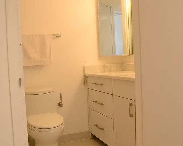 405 N Wabash Ave #1307 — Photo 7
