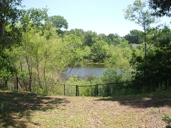 Pond in the backyard