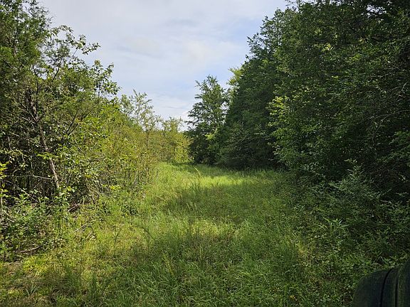Interior road on eastern portion of the property.