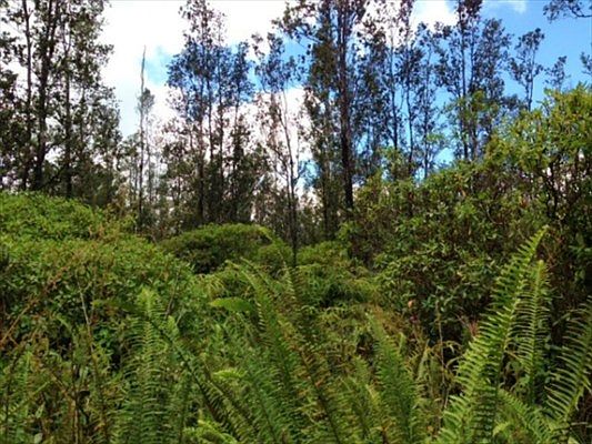 3rd image of Road 9 Koloa Maoli Lot 5415