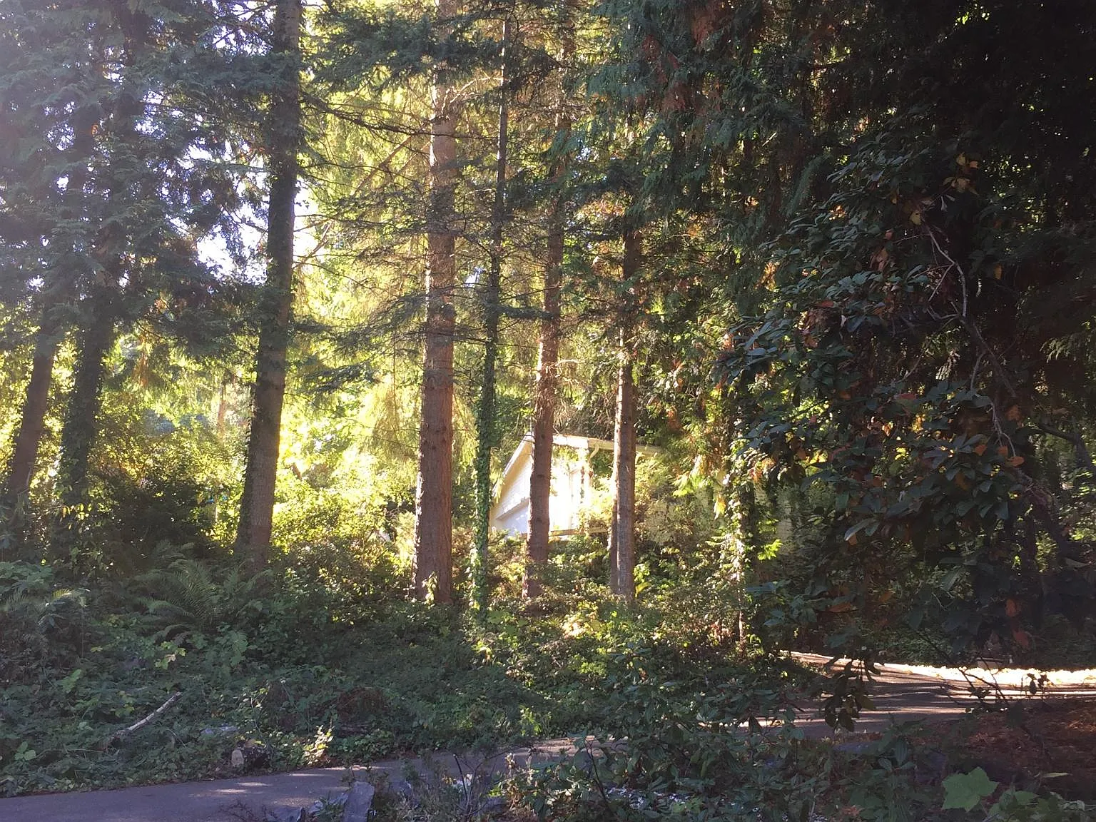 Sunrise Beach Dr NE — Photo 1
