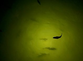 714 Lakeshore Dr, Abbeville, AL 36310