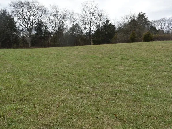 0 Agee Ln, Pleasant Shade, TN 37145