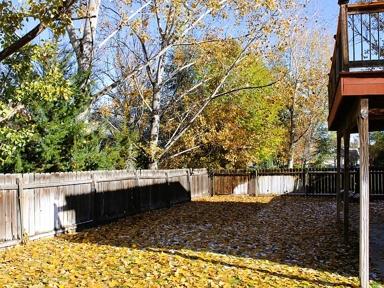 Fenced backyard