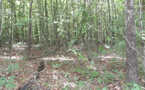 5th image of 0 Parkstown Ext Lot 48