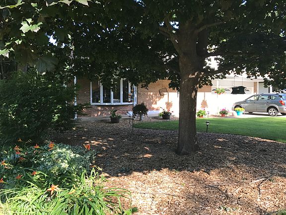 Front yard