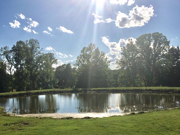 Pond at sunset