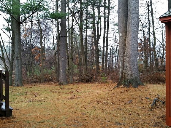 .5 acre wooded in rear