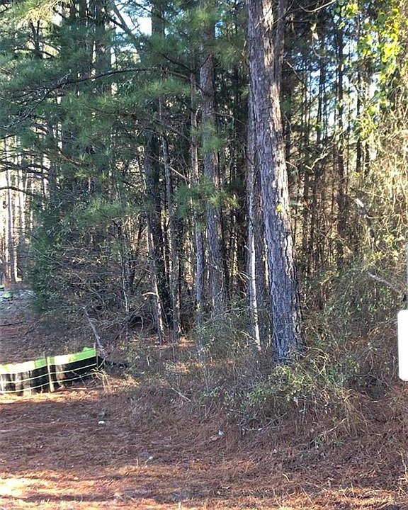 2nd image of 2100 Lee Peters Rd Lot 3
