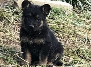 268 Letter Rock Rd, Livingston, KY 40445