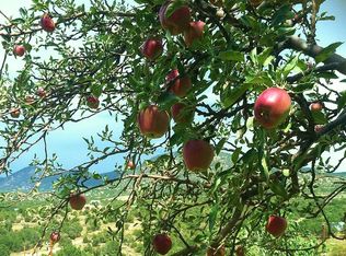 28 Vista De Luna, Santa Fe, NM 87508