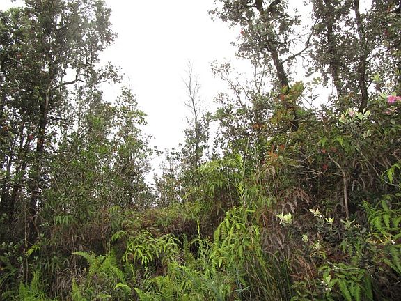 2nd image of Pikake St Lot 11
