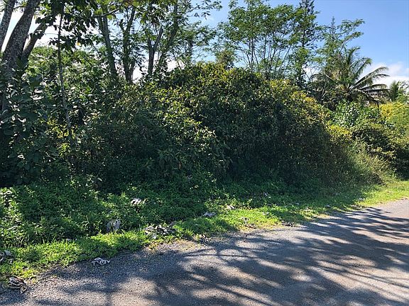 2nd image of 4th Ave Lot 1284