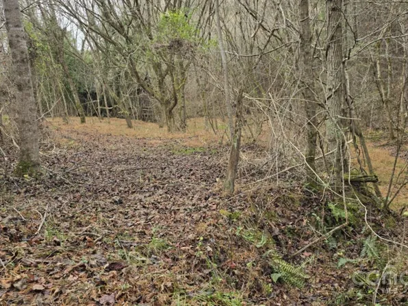 000 Baileys Branch Rd, Marshall, NC 28753