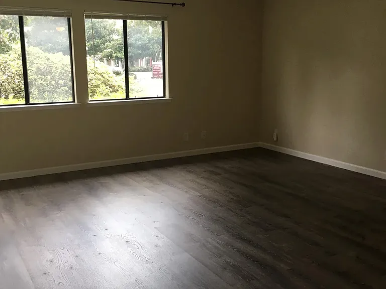 Large living room with two windows