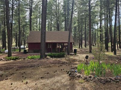 950 S Friar Tuck Trl, Williams, AZ, 86046