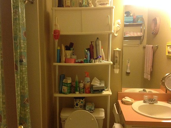 Downstairs bathroom