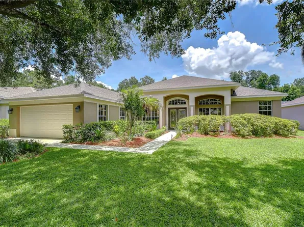 3512 Cordgrass Dr, Valrico, FL 33596