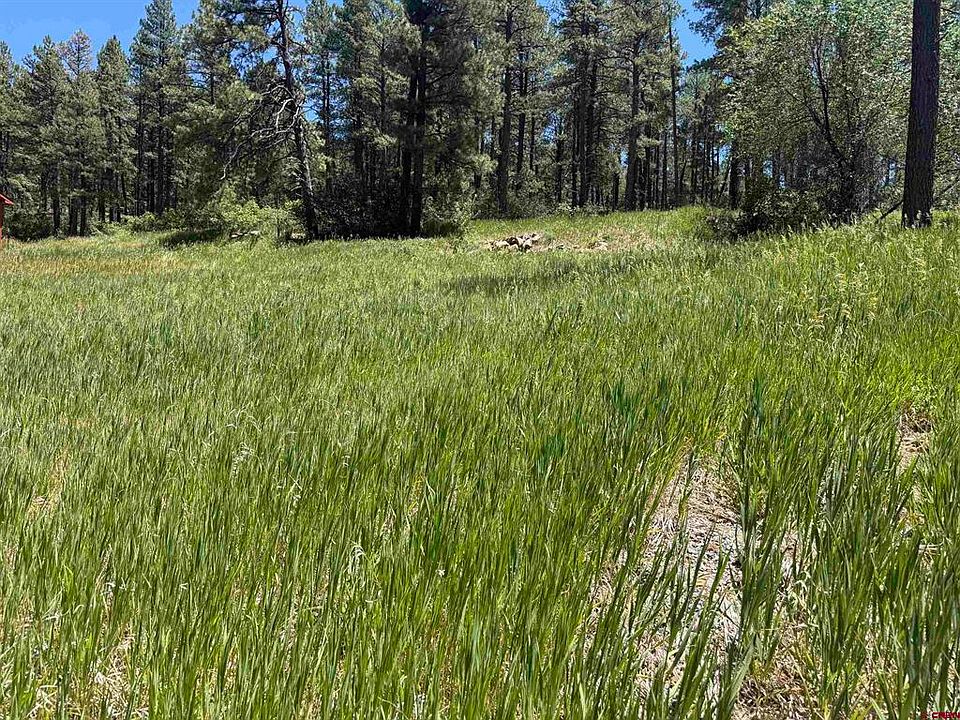 1st image of 473 Alpine Forest Drive