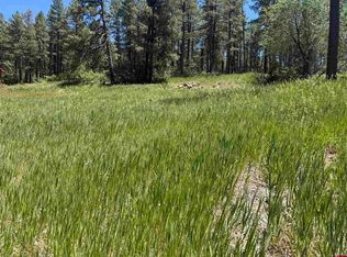 473 Alpine Forest Drive, Bayfield, CO 81122
