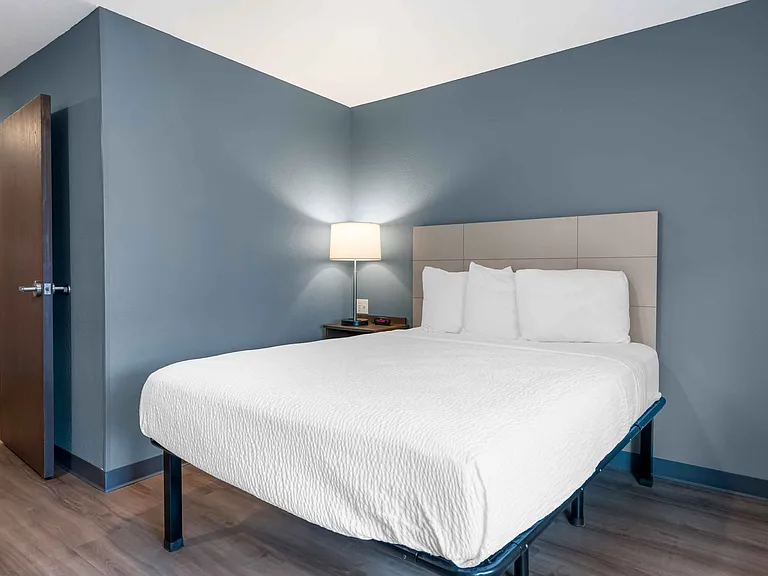 Studio Suite - 1 Queen Bed