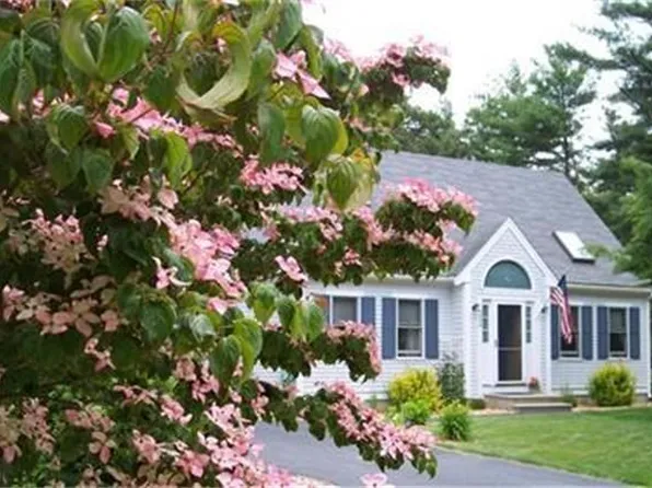 208 Mashpee Neck Rd, Mashpee, MA 02649