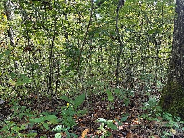 1st image of H16-H17 Shady Grove Rd