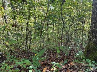 H16-H17 Shady Grove Rd, Tuckasegee, NC 28783