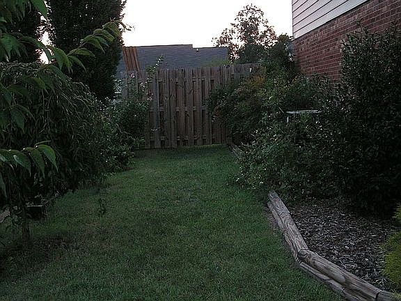 Side