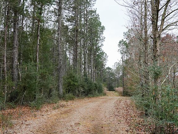 5th image of Frog Ridge Rd