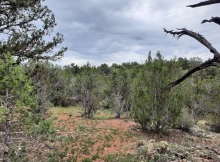 54484 N Forest Grove Way, Seligman, AZ 86337