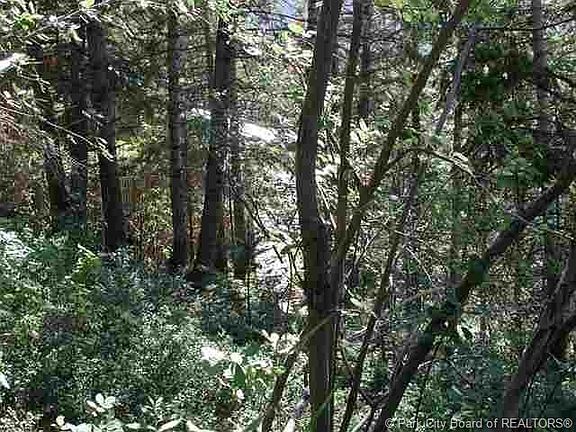 2nd image of 400 Matterhorn Dr #M-2-76