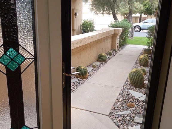 View from Front Door