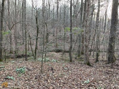 0 Smithonia Rd, Colbert, GA, 30628