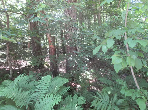 40 Ellen Brook Road, Hillsborough, NH 03244