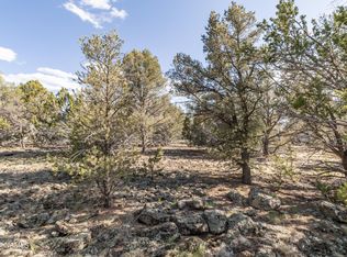 174 E Ironwood Dr #475, Williams, AZ 86046