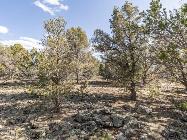 174 E Ironwood Dr #475, Williams, AZ 86046