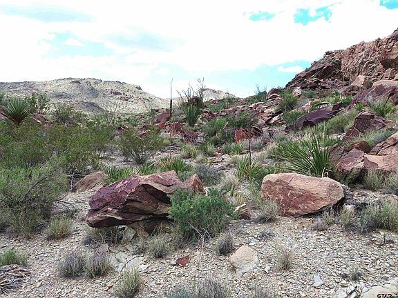 5th image of 0 State Highway 118