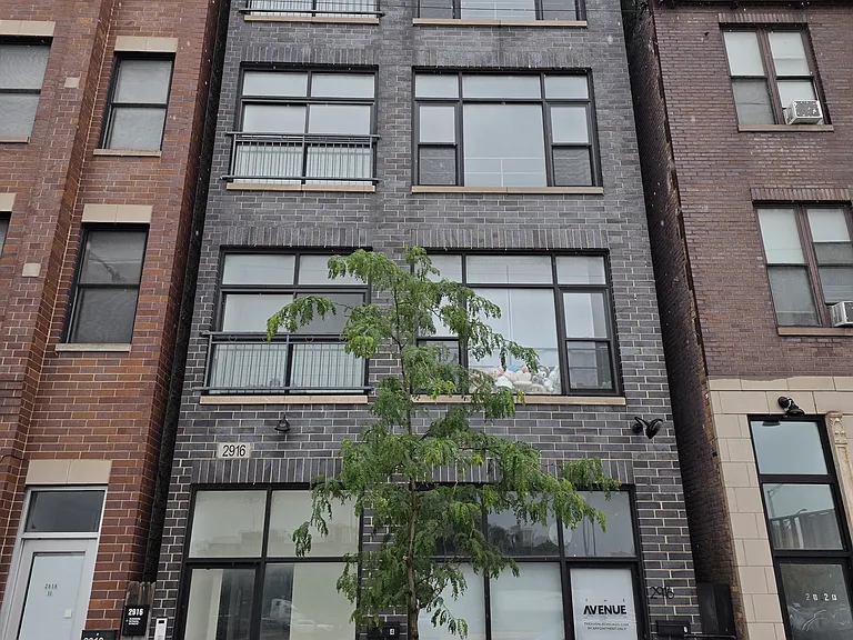 2916 S Wentworth Ave #3 — Photo 12