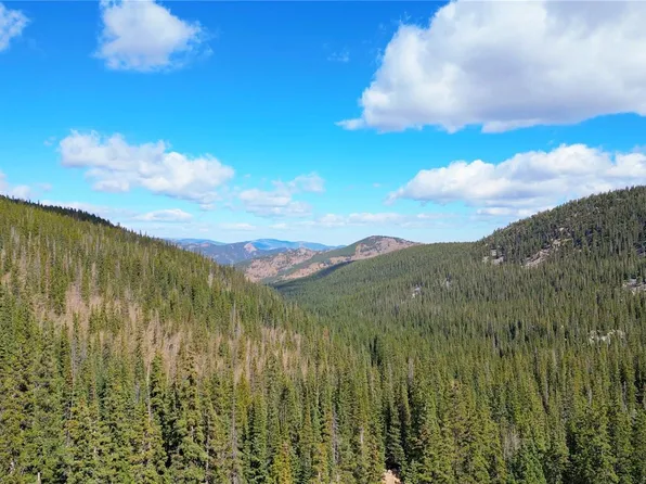 North Lot Chicago Creek Road, Idaho Springs, CO 80452