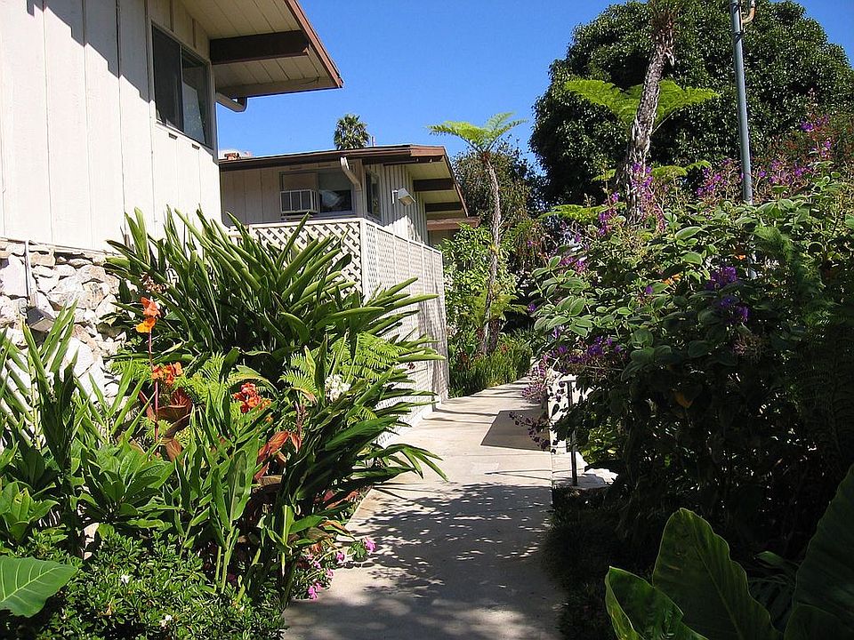 Grounds of Complex