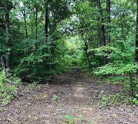 5th image of 3613 Hopson Mill Rd