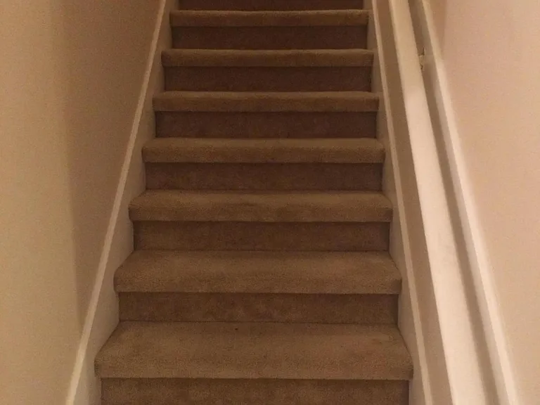 8584 Tower Falls Dr — Photo 18